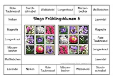 Bingo-Frühlingsblüten-8.pdf
